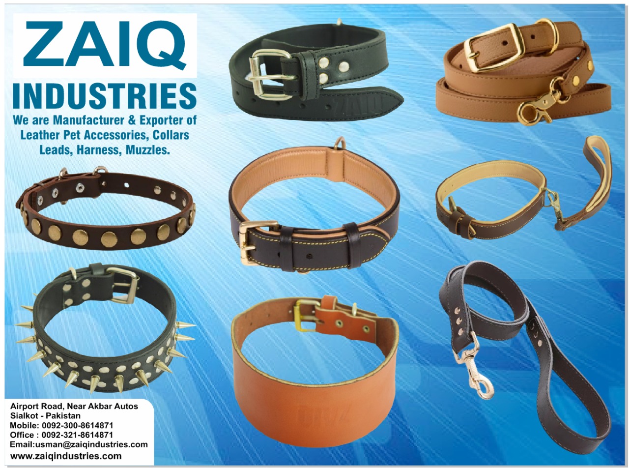 Pet and Dog Accessories